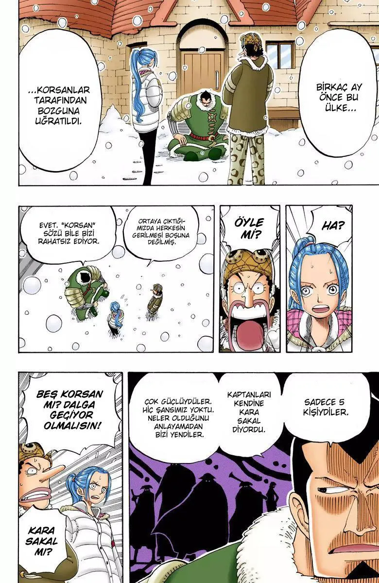 One Piece [Renkli] - Sayfa 19