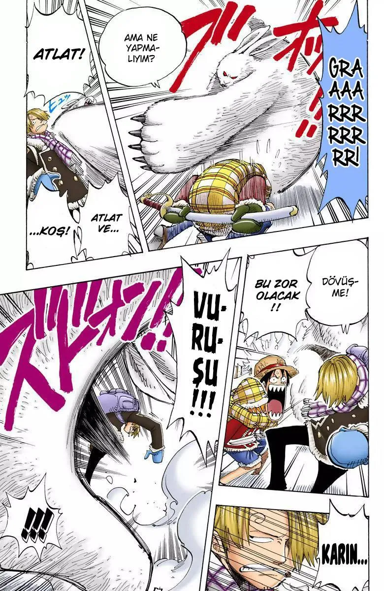 One Piece [Renkli] - Sayfa 8