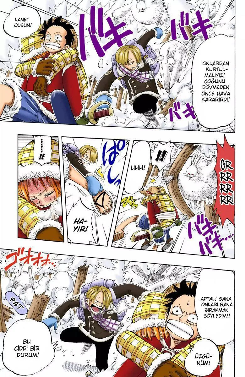 One Piece [Renkli] - Sayfa 10