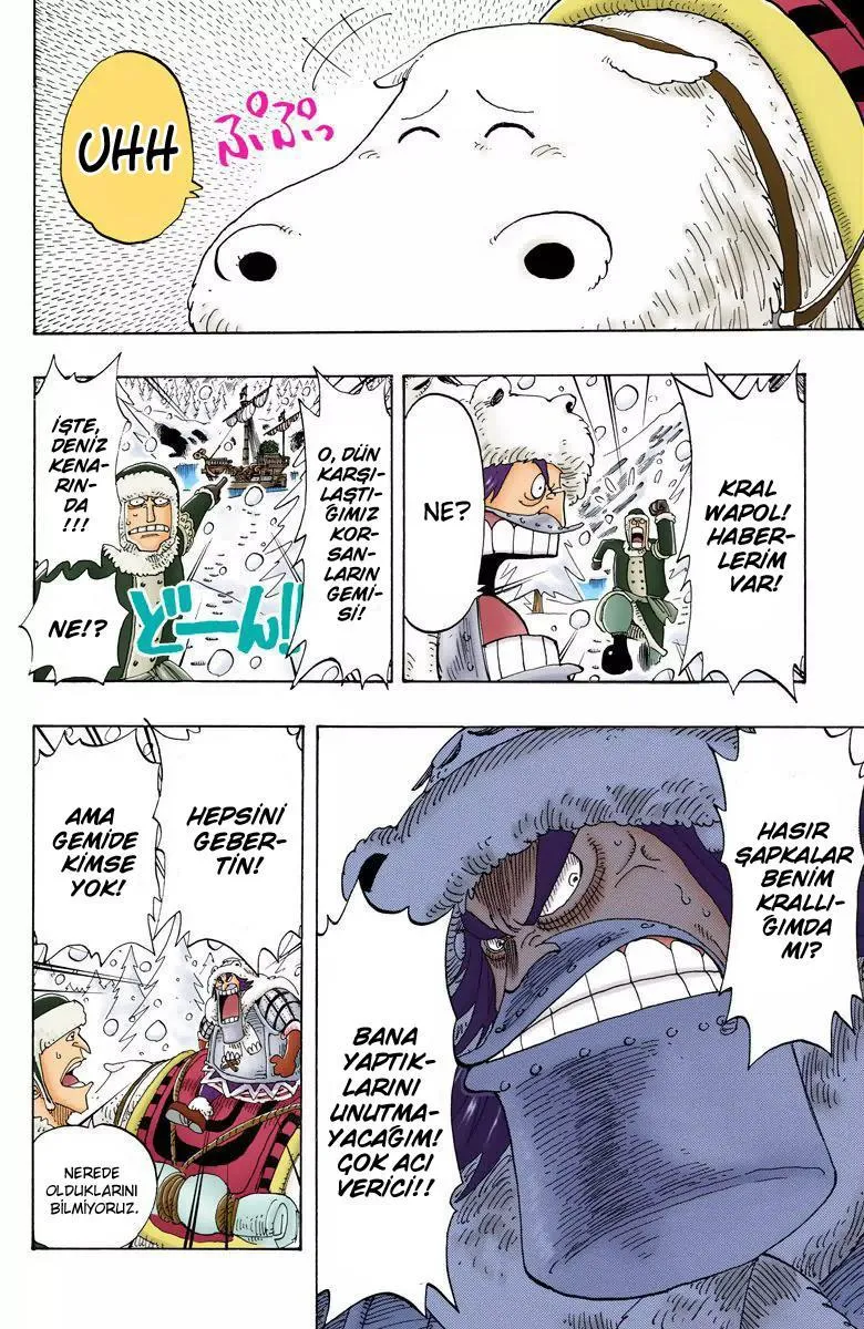 One Piece [Renkli] - Sayfa 15