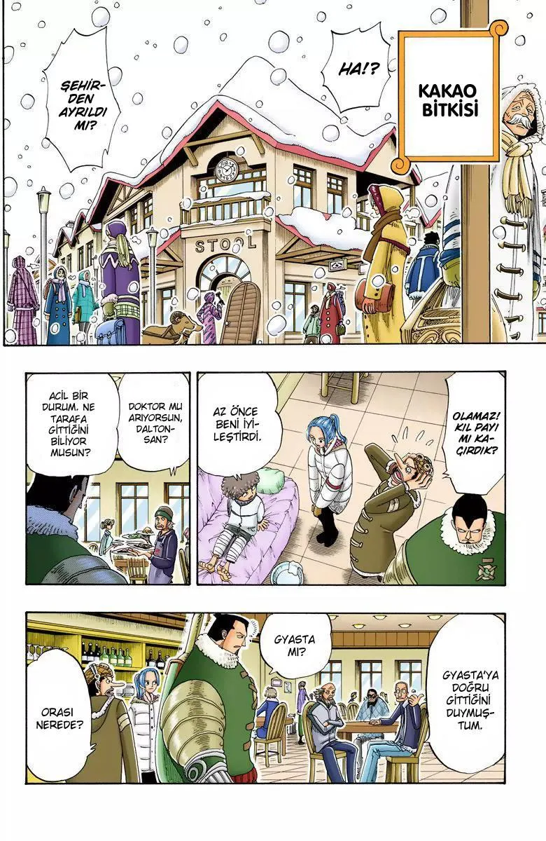 One Piece [Renkli] - Sayfa 17