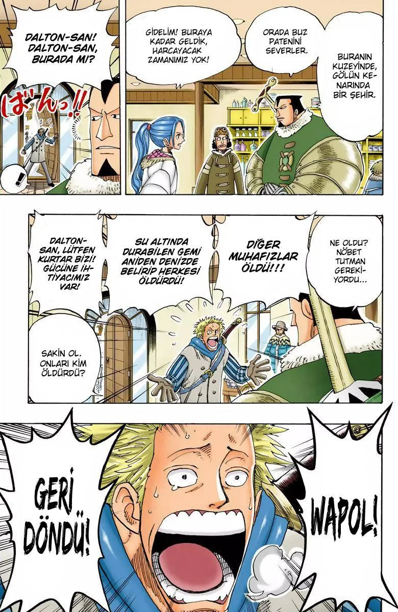 One Piece [Renkli] - Sayfa 18