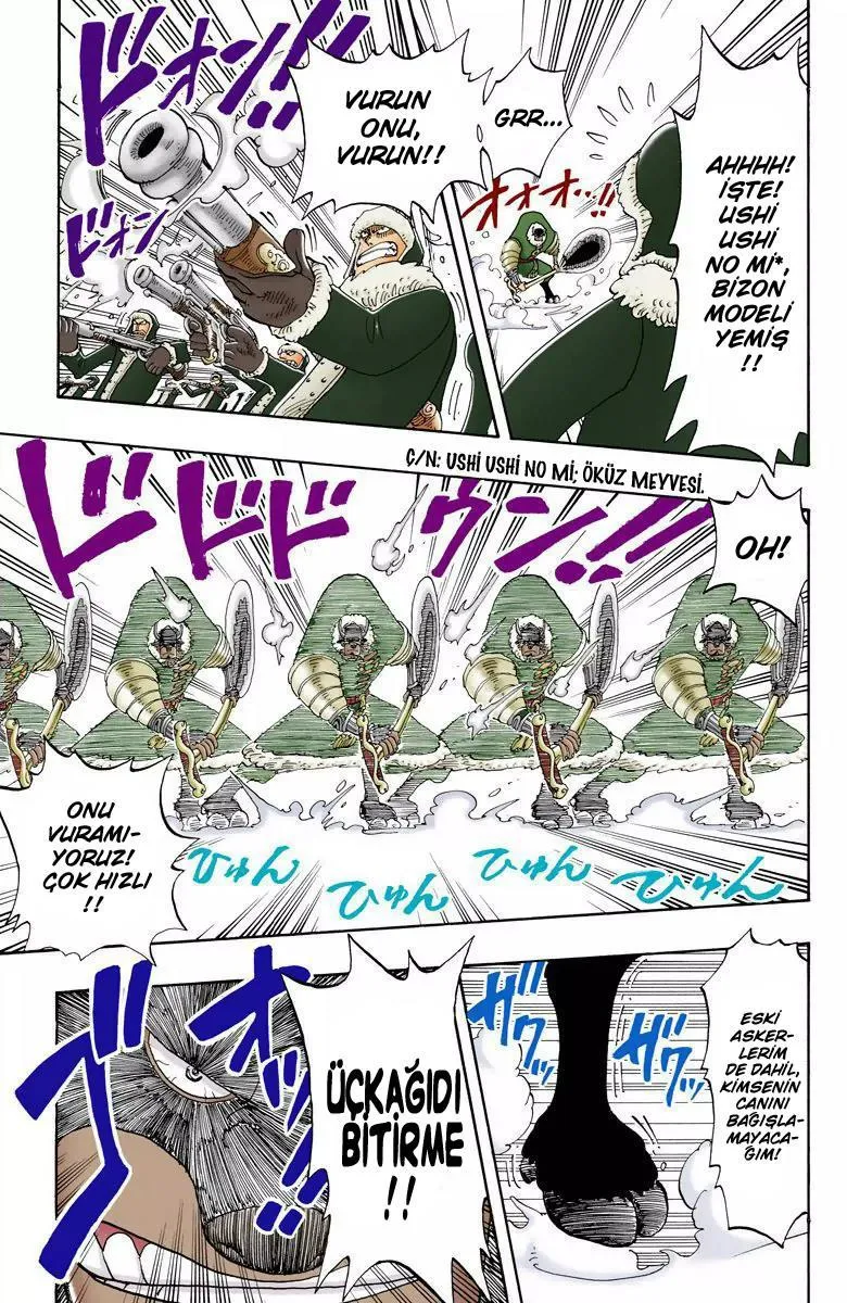 One Piece [Renkli] - Sayfa 14