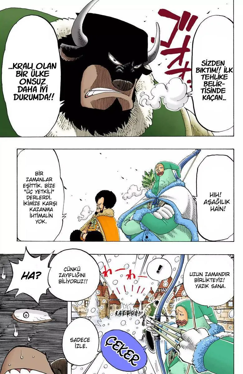 One Piece [Renkli] - Sayfa 16