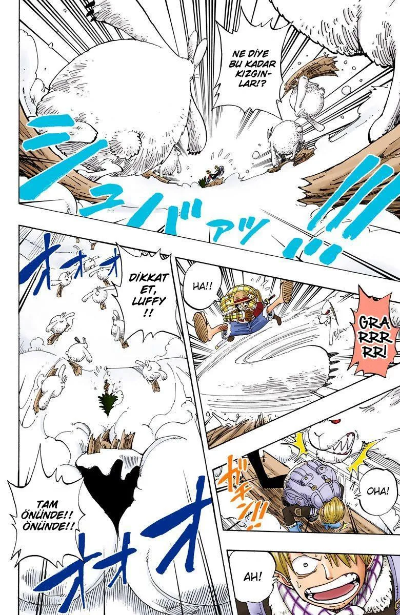 One Piece [Renkli] - Sayfa 10