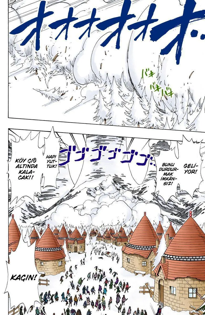 One Piece [Renkli] - Sayfa 14