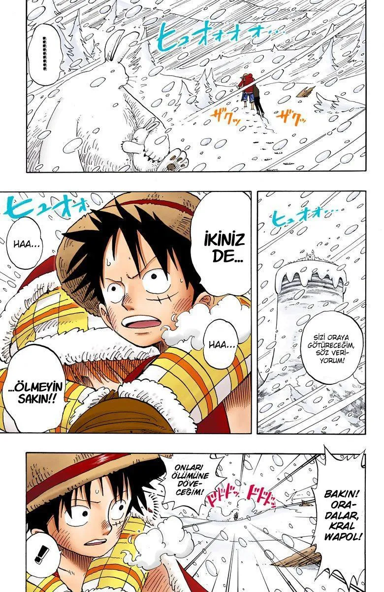 One Piece [Renkli] - Sayfa 21
