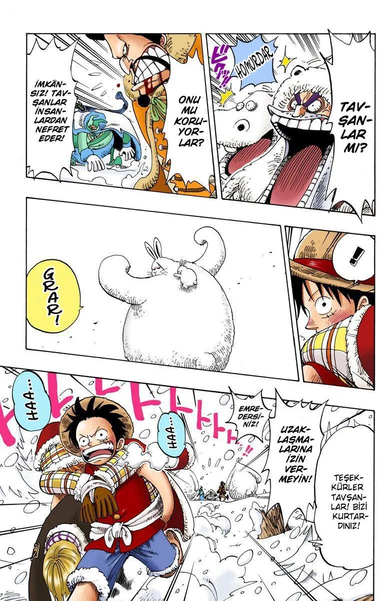 One Piece [Renkli] - Sayfa 10