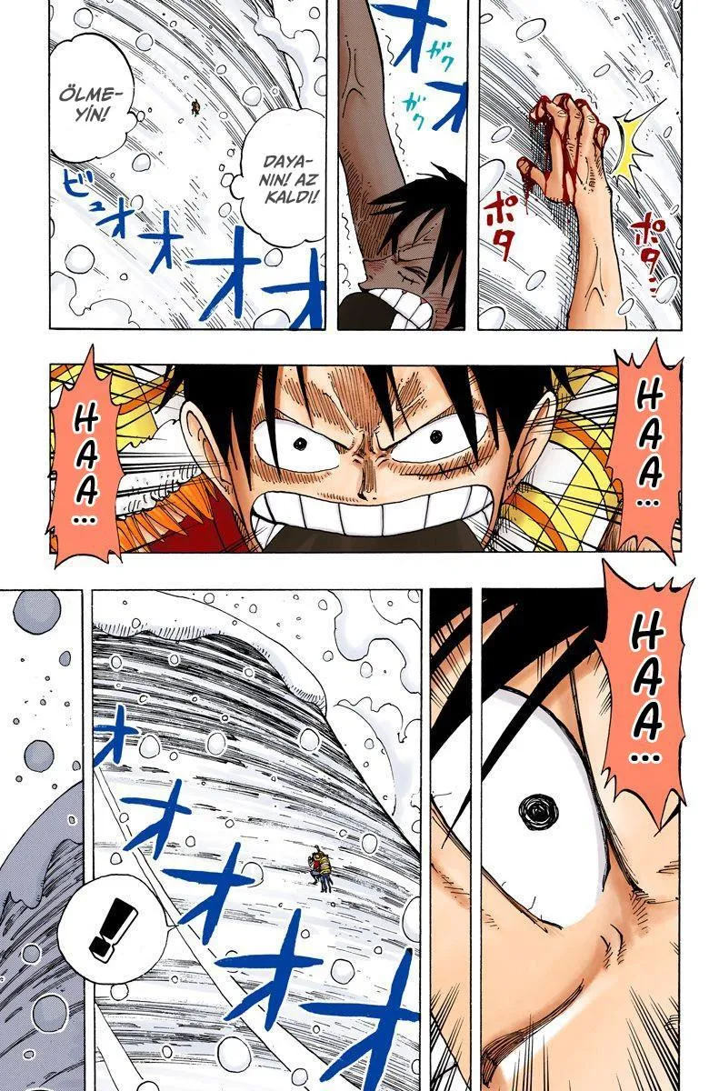 One Piece [Renkli] - Sayfa 16