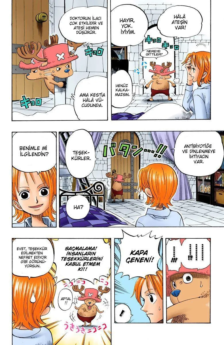 One Piece [Renkli] - Sayfa 6