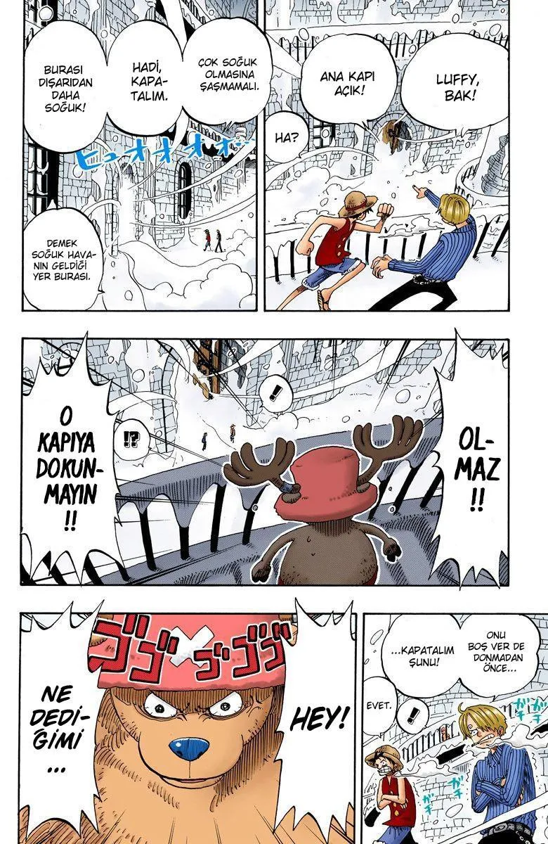 One Piece [Renkli] - Sayfa 14