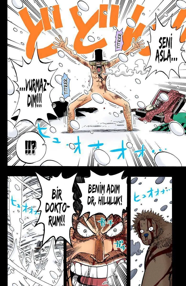 One Piece [Renkli] - Sayfa 19