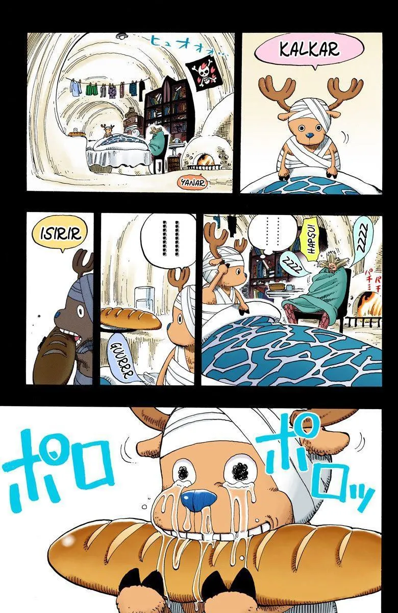 One Piece [Renkli] - Sayfa 20