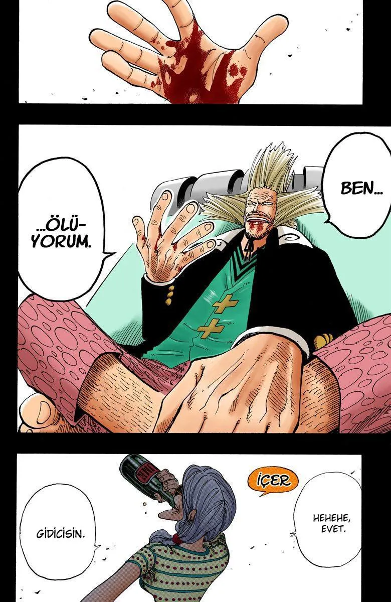 One Piece [Renkli] - Sayfa 3