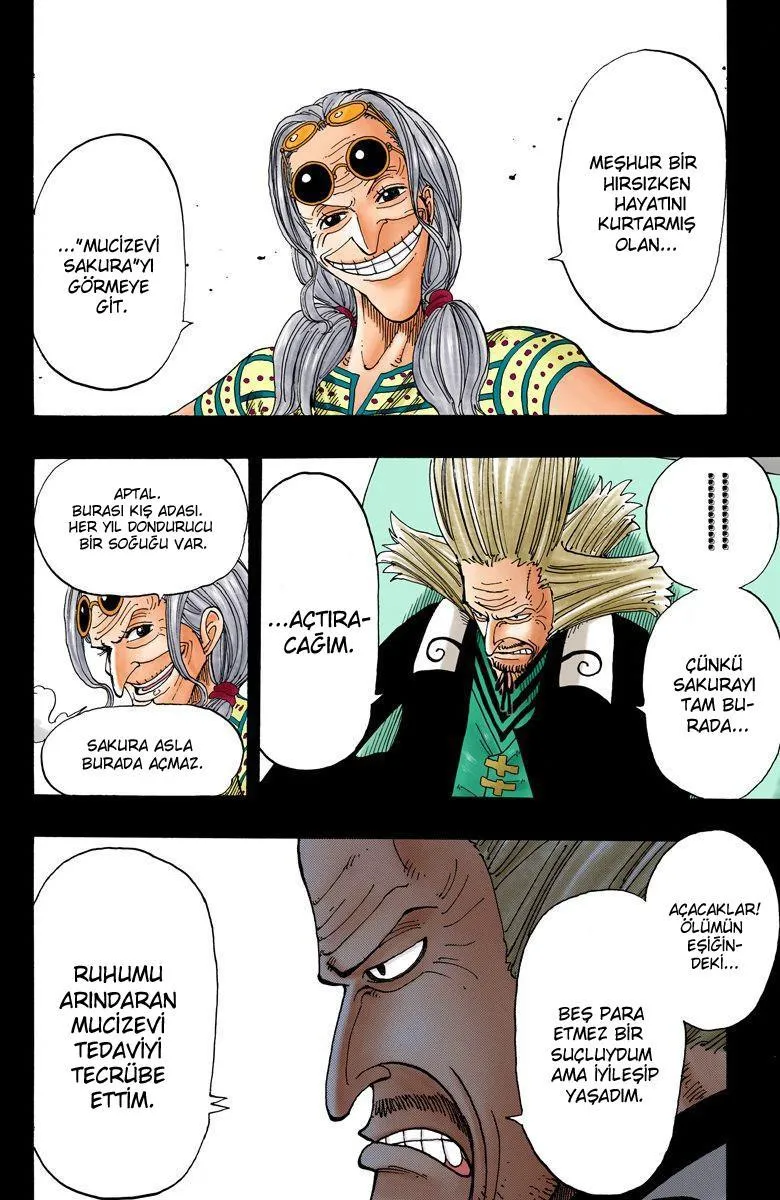 One Piece [Renkli] - Sayfa 5