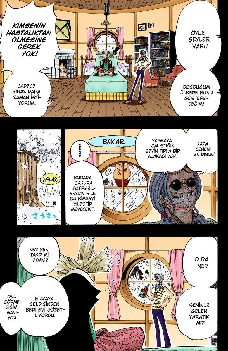 One Piece [Renkli] - Sayfa 6