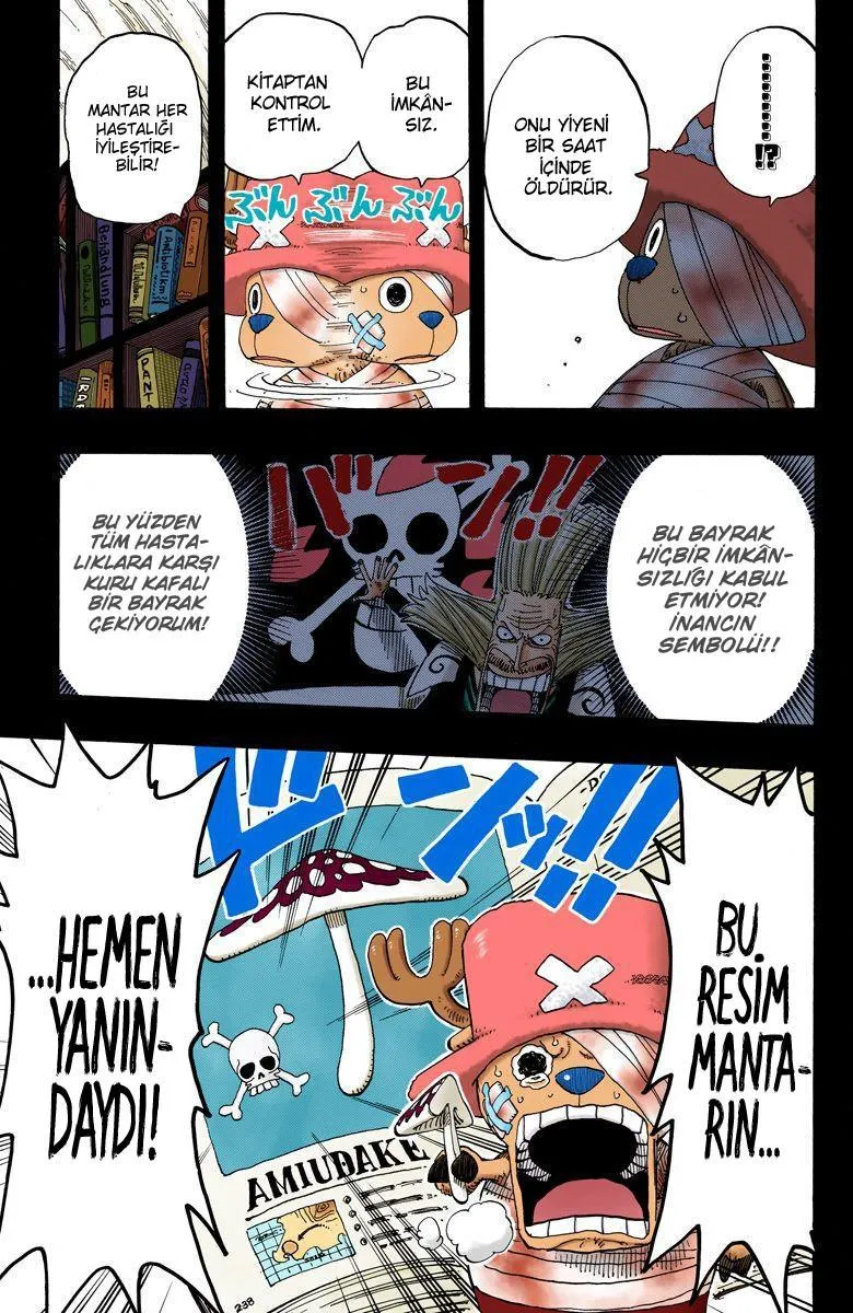 One Piece [Renkli] - Sayfa 16
