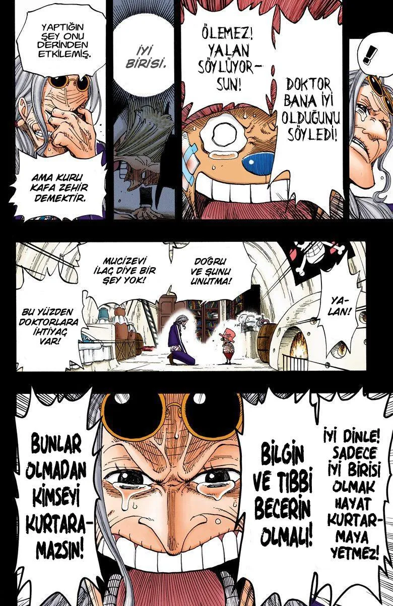 One Piece [Renkli] - Sayfa 17