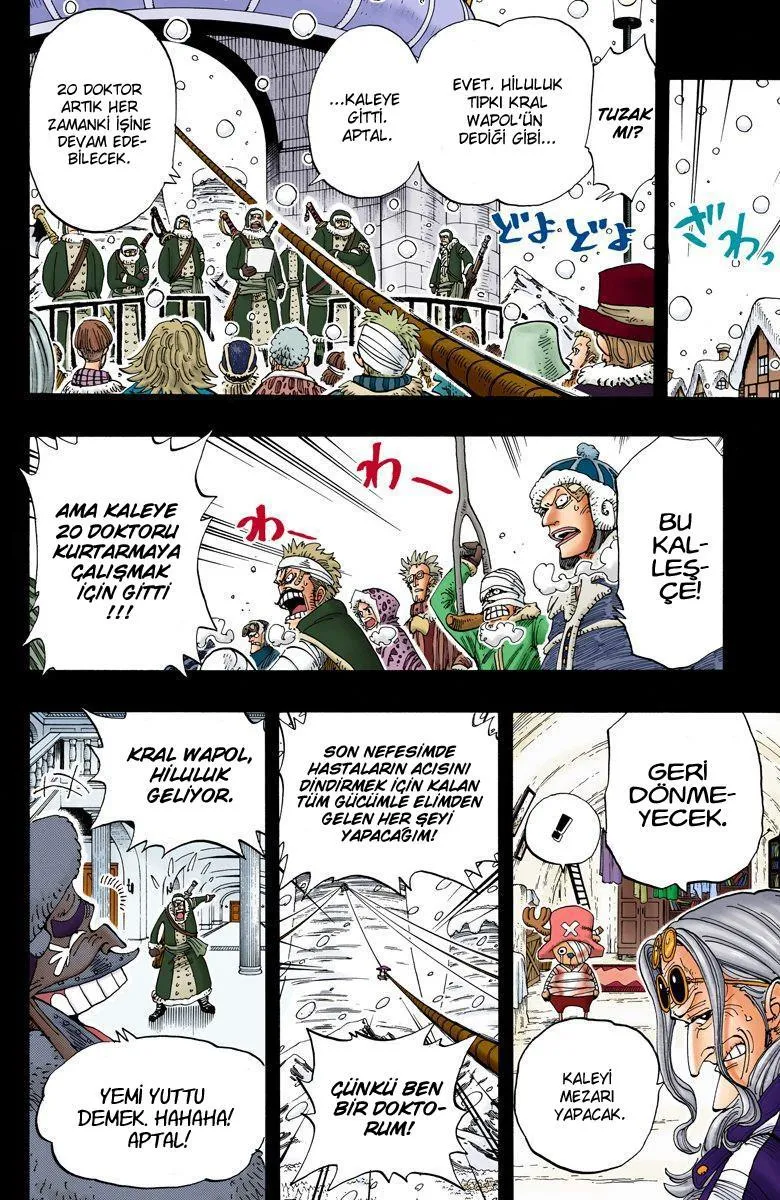 One Piece [Renkli] - Sayfa 19