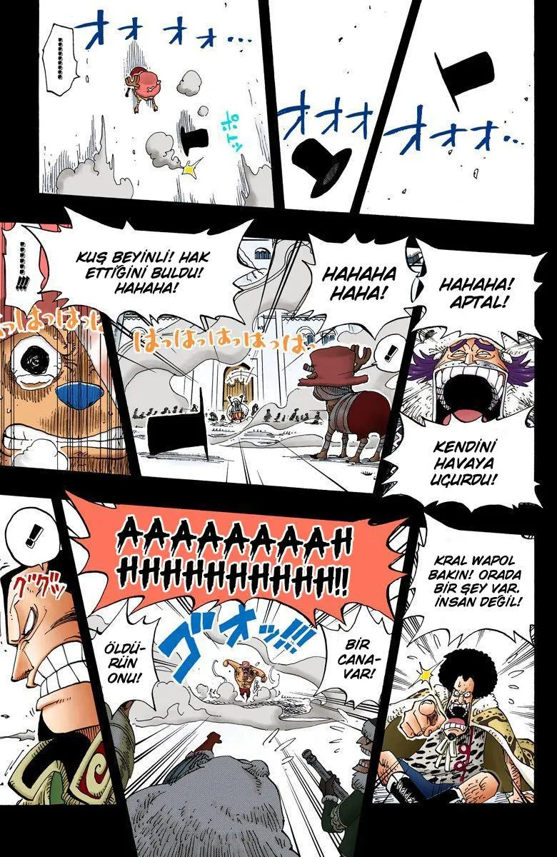 One Piece [Renkli] - Sayfa 12