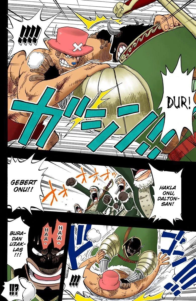 One Piece [Renkli] - Sayfa 13