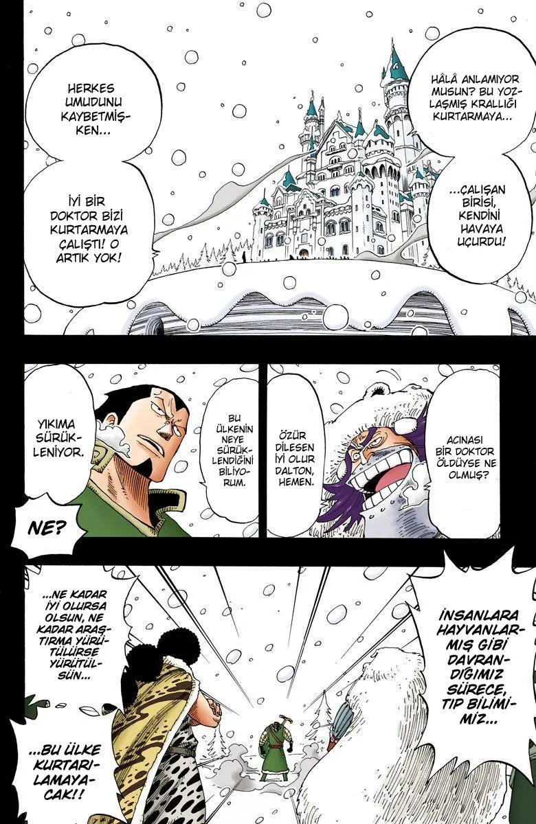 One Piece [Renkli] - Sayfa 15