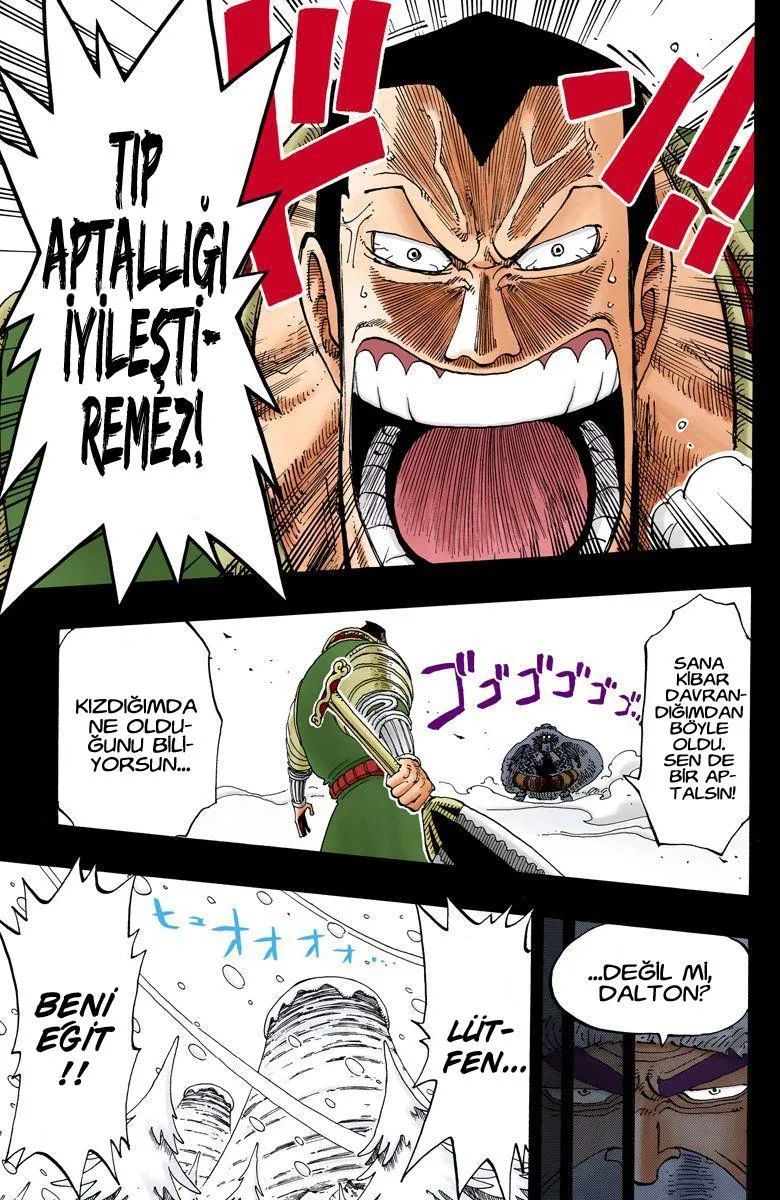 One Piece [Renkli] - Sayfa 16