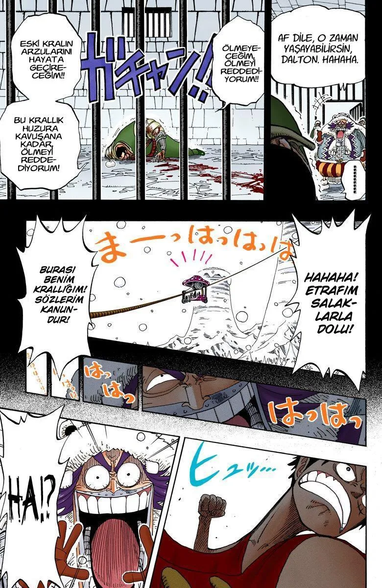 One Piece [Renkli] - Sayfa 18