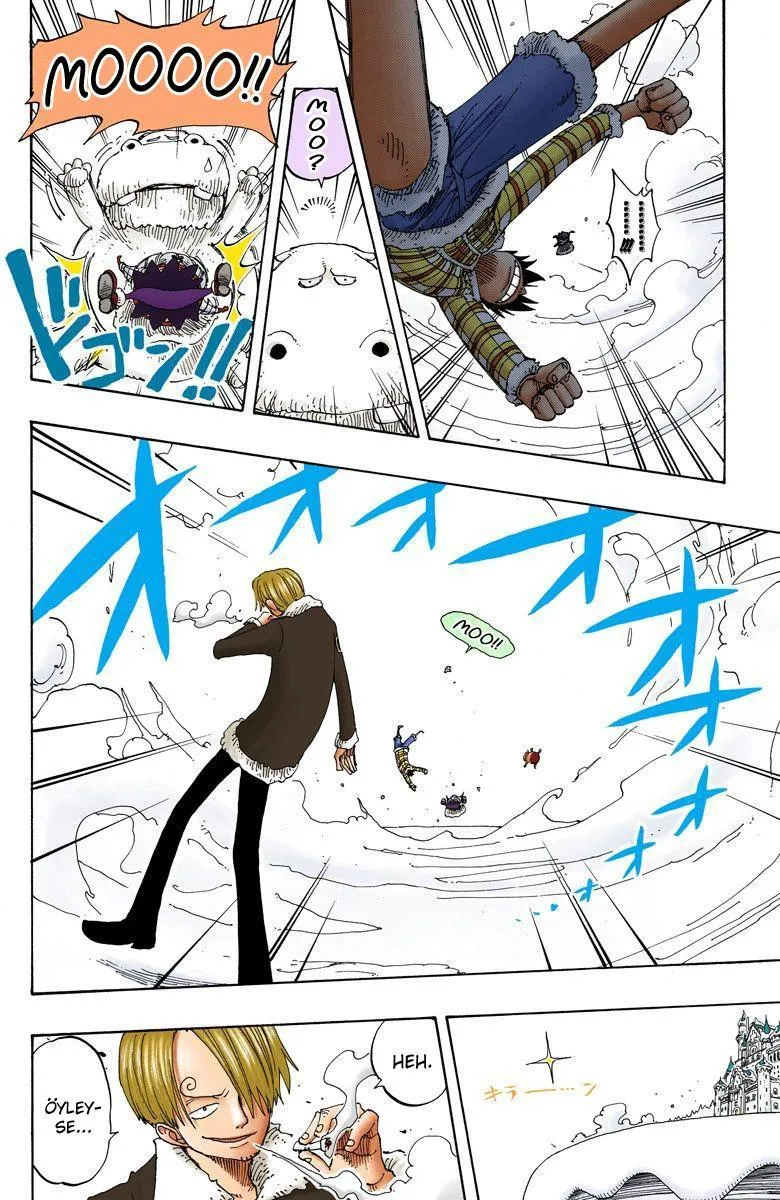 One Piece [Renkli] - Sayfa 19