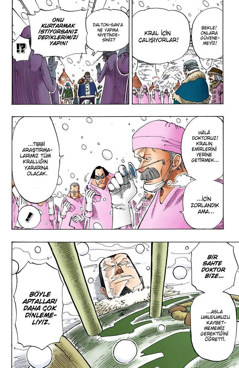 One Piece [Renkli] - Sayfa 4