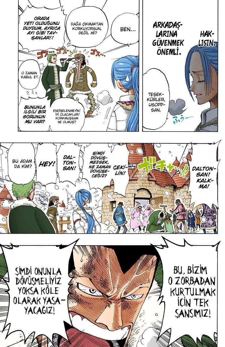 One Piece [Renkli] - Sayfa 13