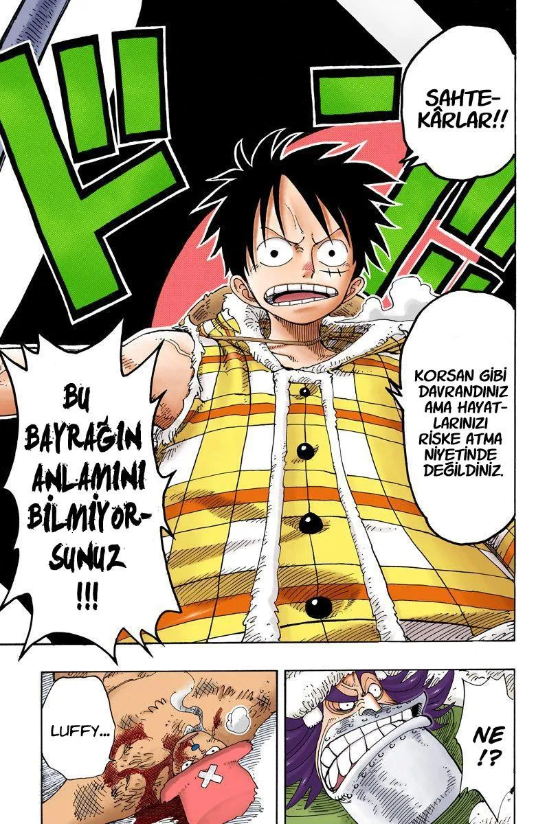 One Piece [Renkli] - Sayfa 19