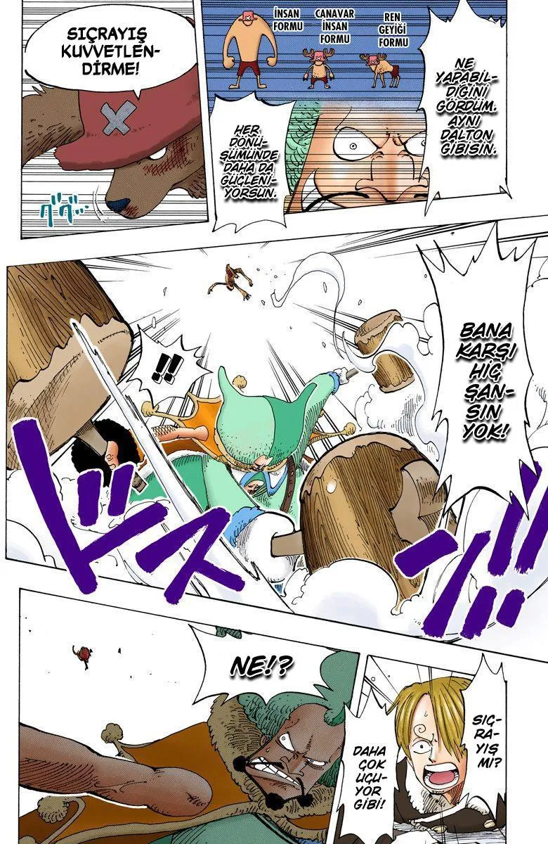 One Piece [Renkli] - Sayfa 7