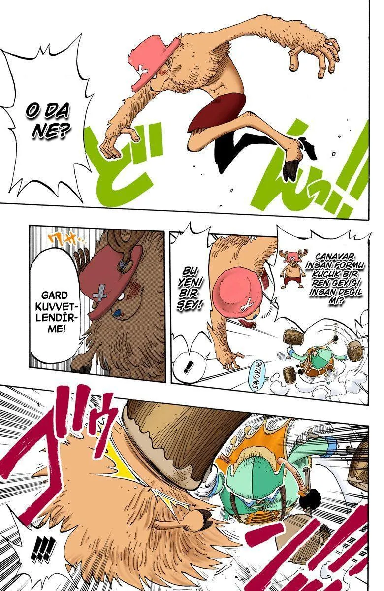 One Piece [Renkli] - Sayfa 8