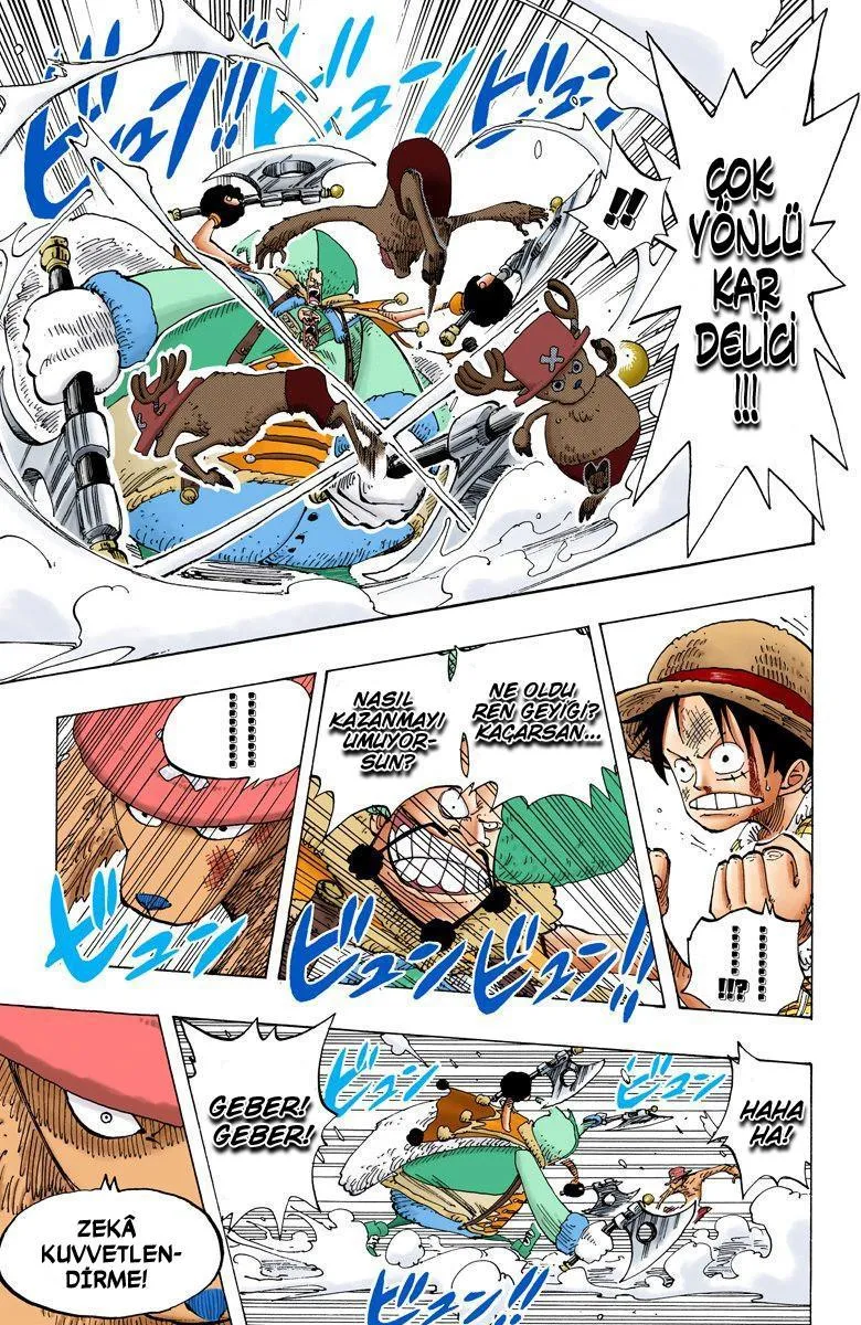 One Piece [Renkli] - Sayfa 14