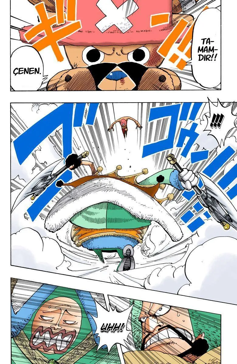 One Piece [Renkli] - Sayfa 17