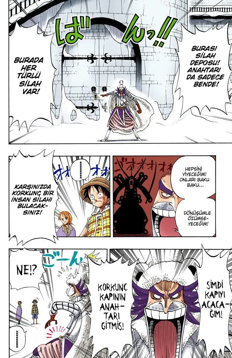 One Piece [Renkli] - Sayfa 13