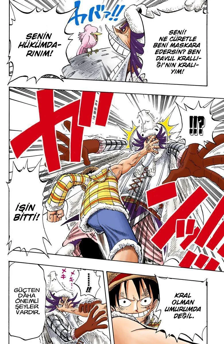 One Piece [Renkli] - Sayfa 19