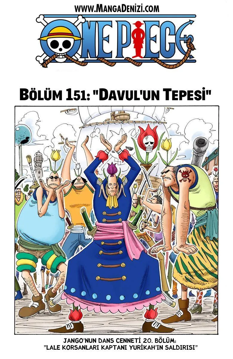 One Piece [Renkli] - Sayfa 2