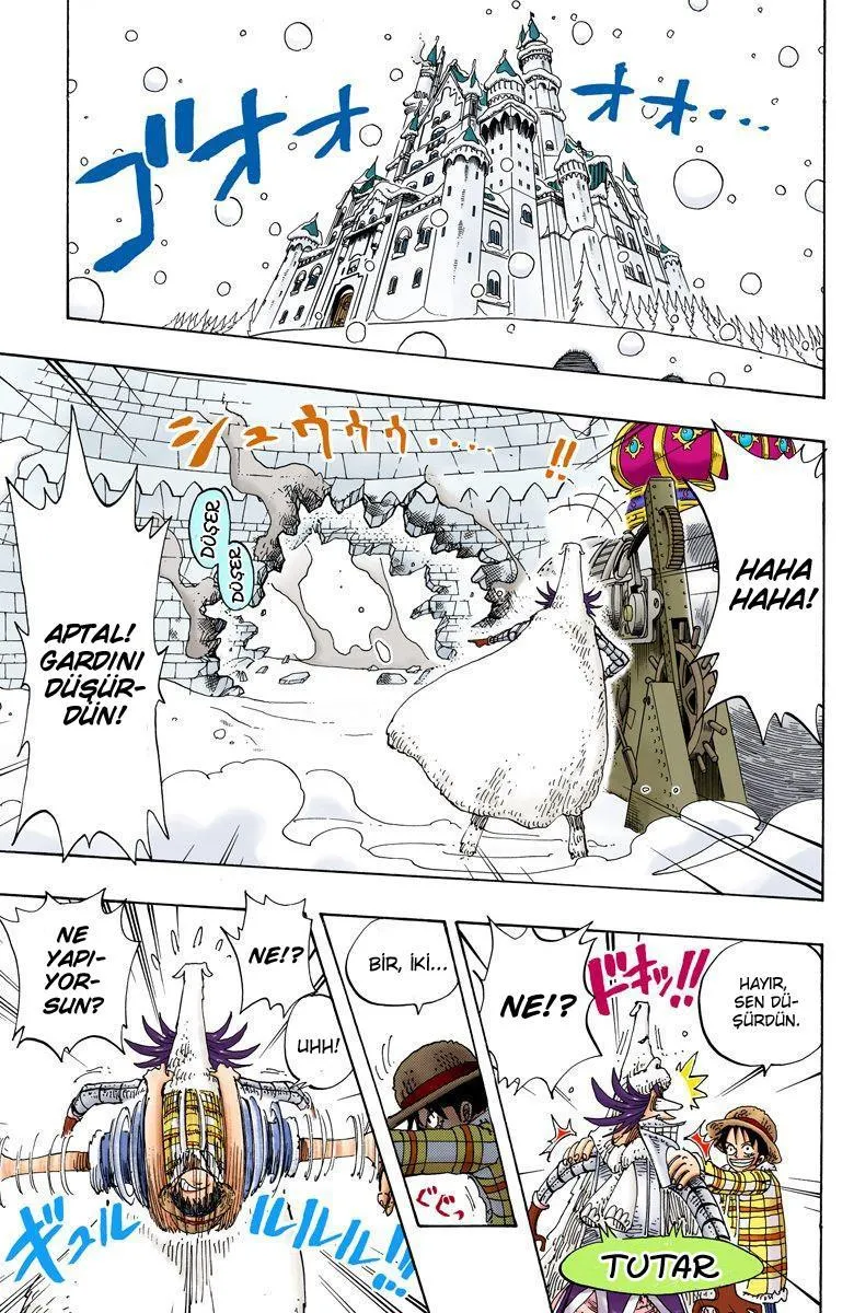 One Piece [Renkli] - Sayfa 14