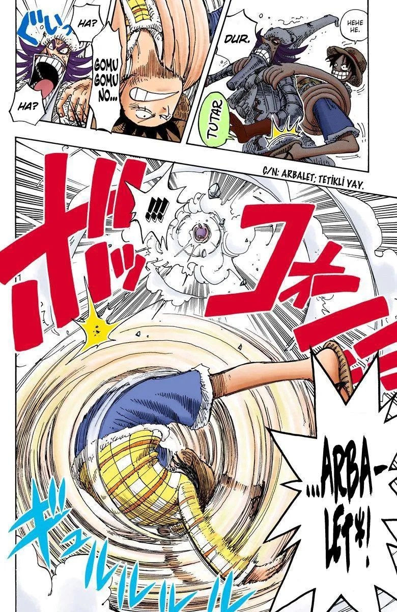 One Piece [Renkli] - Sayfa 15