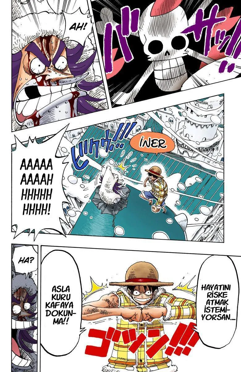 One Piece [Renkli] - Sayfa 17