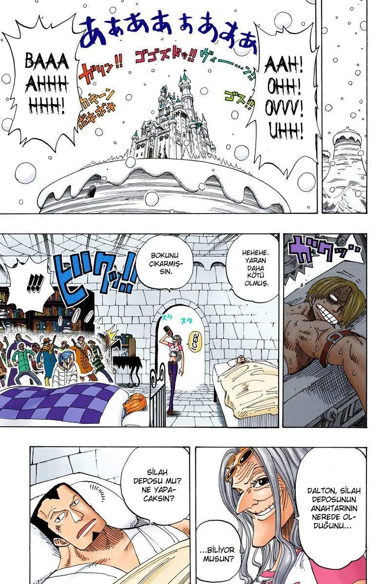 One Piece [Renkli] - Sayfa 11