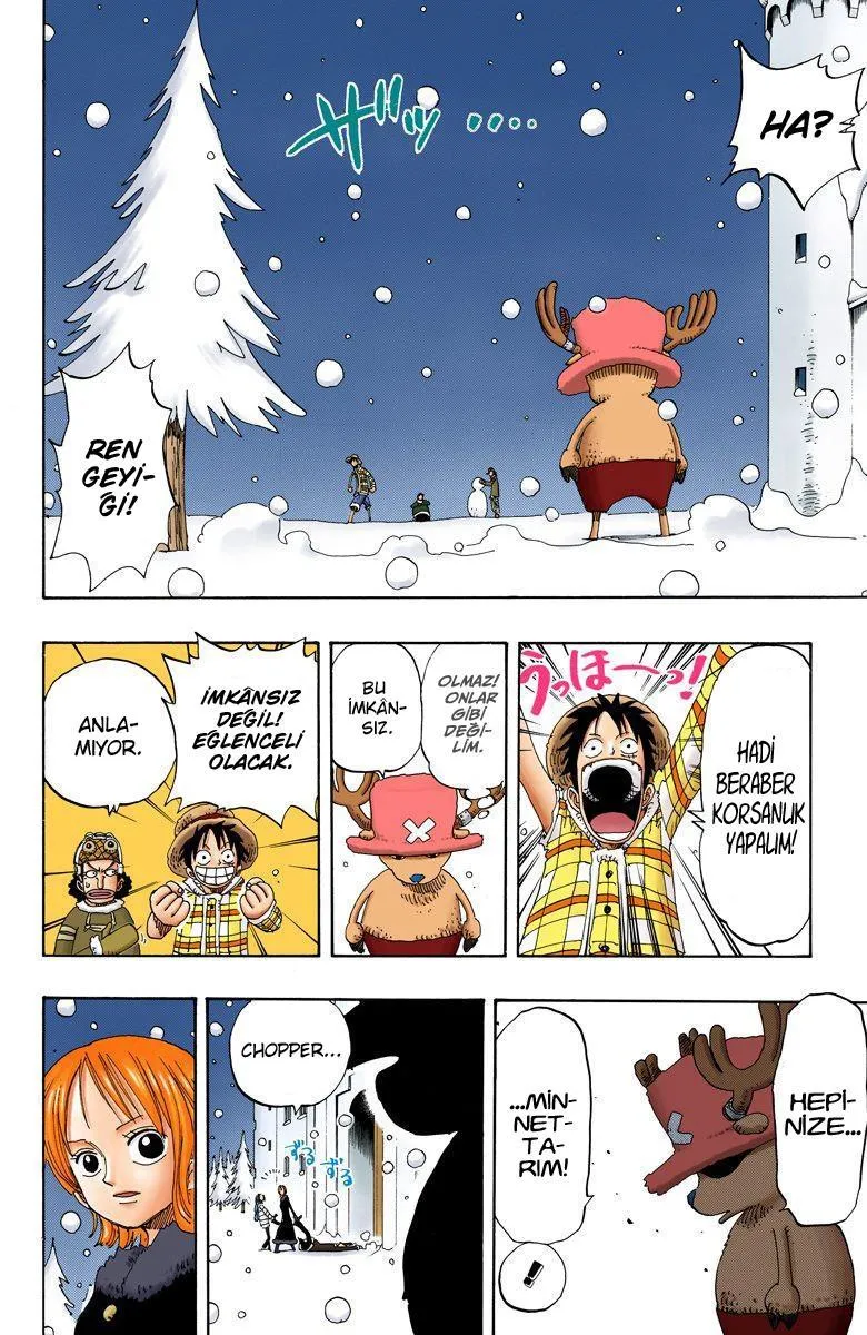 One Piece [Renkli] - Sayfa 16