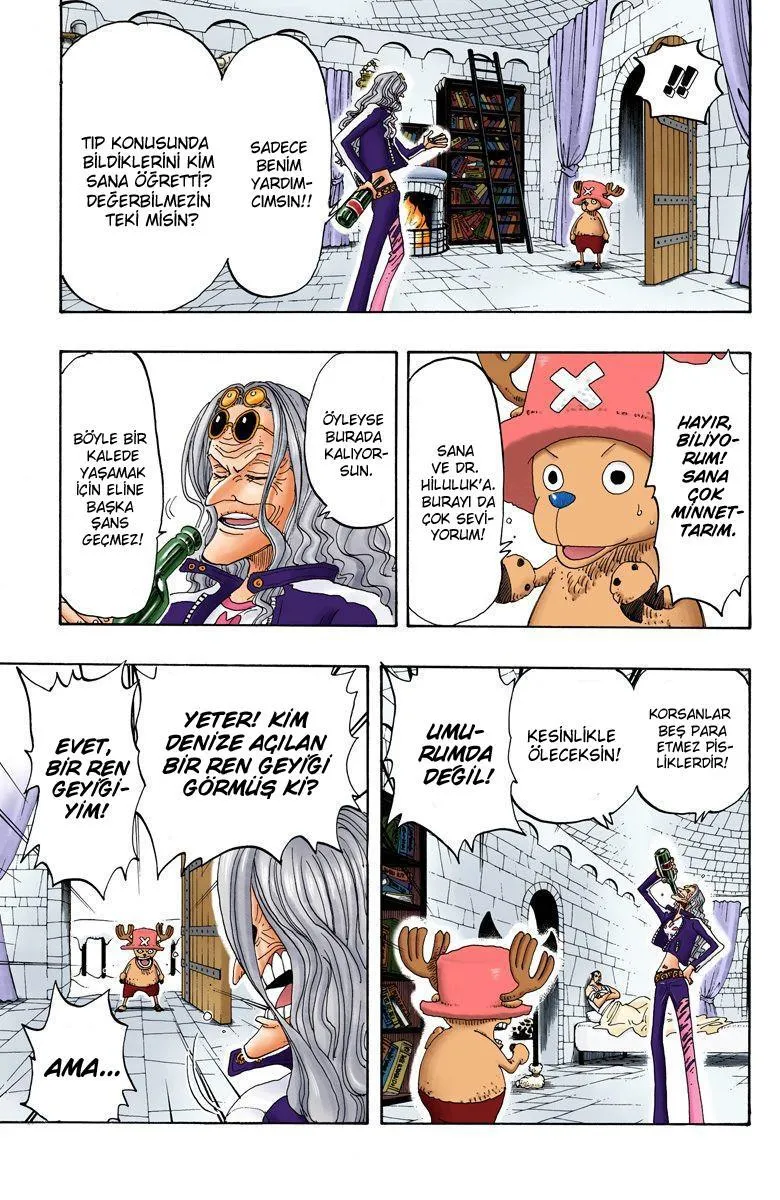 One Piece [Renkli] - Sayfa 6