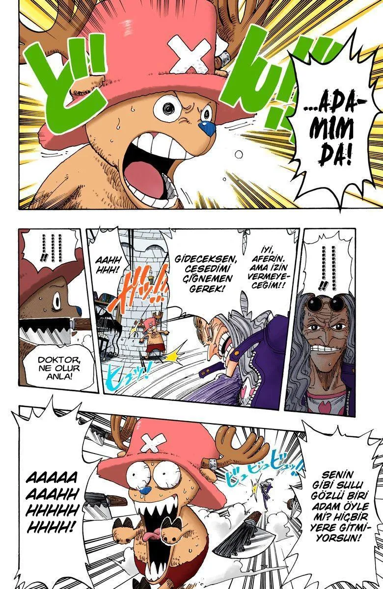 One Piece [Renkli] - Sayfa 7