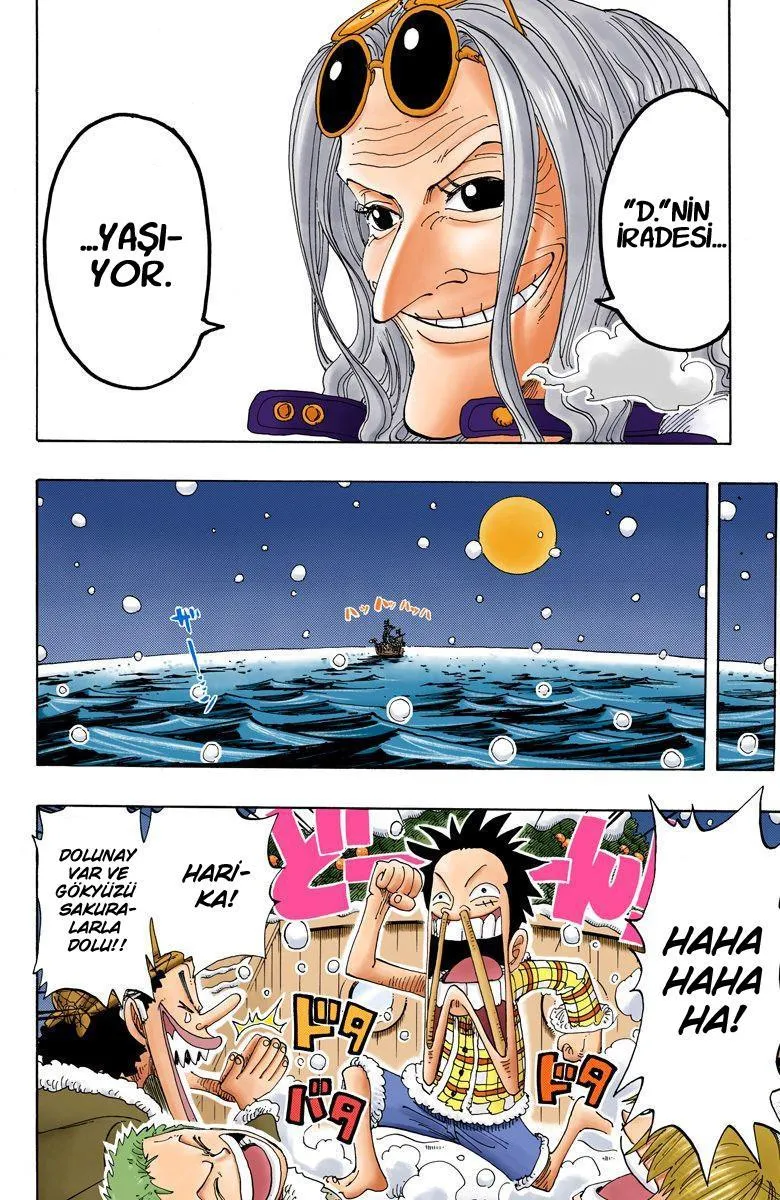 One Piece [Renkli] - Sayfa 9