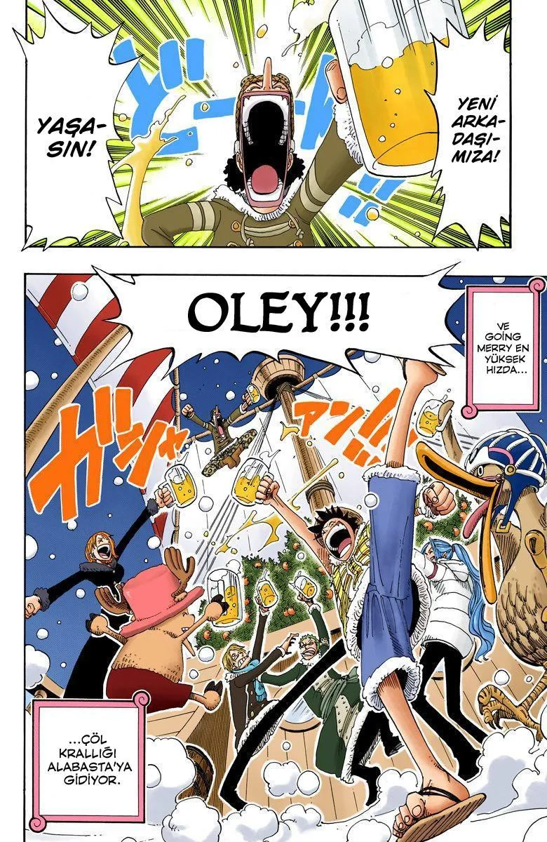 One Piece [Renkli] - Sayfa 15