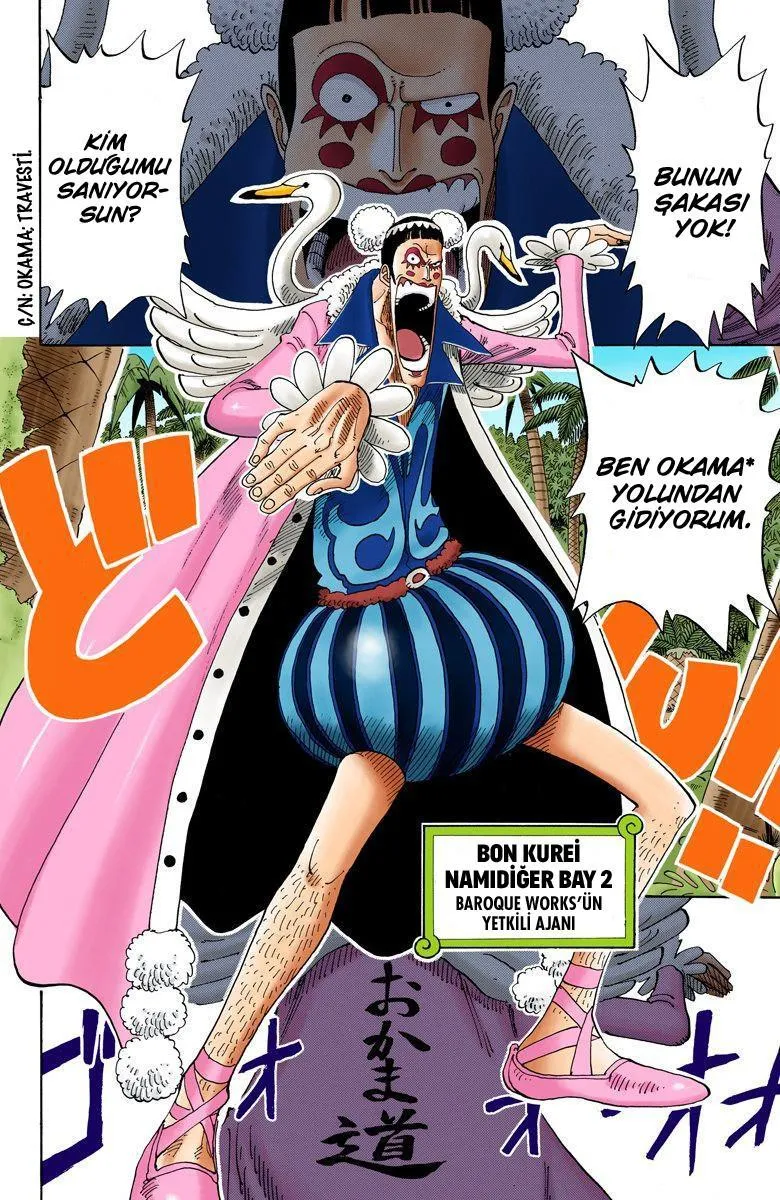 One Piece [Renkli] - Sayfa 17