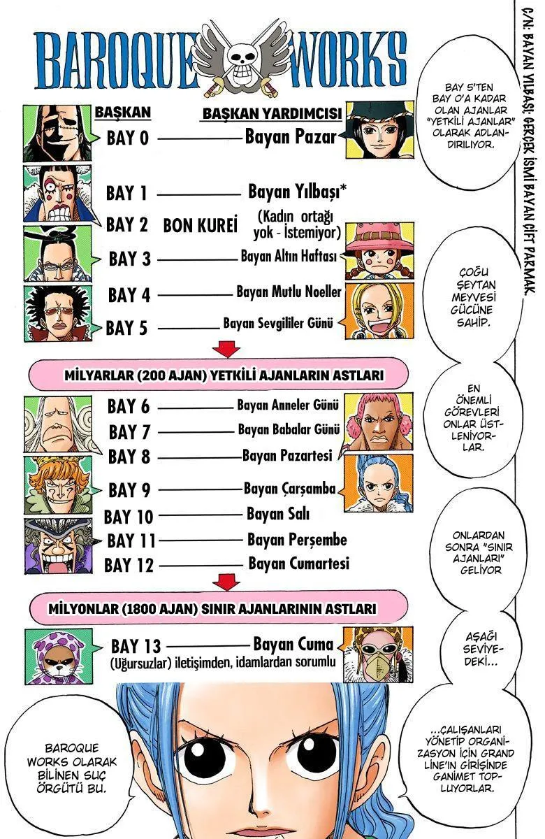 One Piece [Renkli] - Sayfa 17